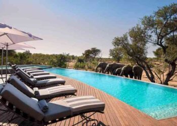 The 10 Best Safari Lodges in Africa